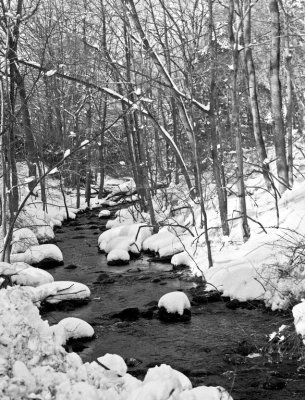 Stream In Winter