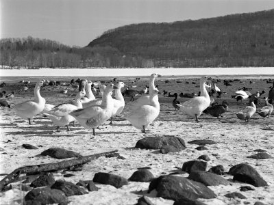 Rockland Lake