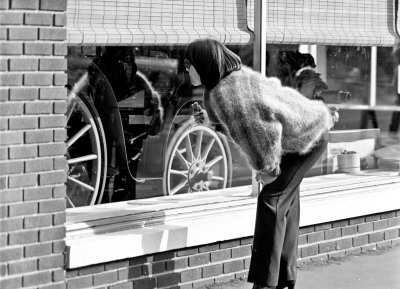 Window Shopper