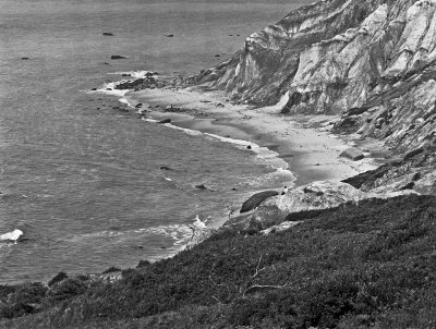 Shoreline
