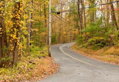 Country Road 3