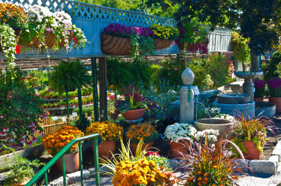 PR Nursery