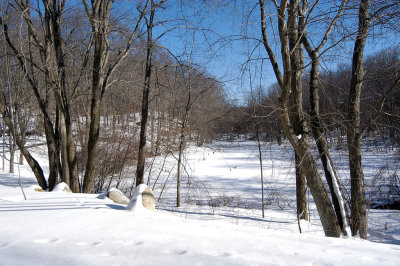 Winter Day