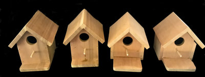 Bird Condominium