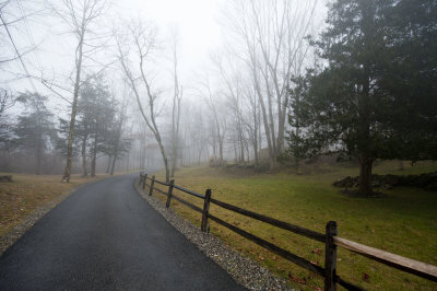 Foggy New Year Day