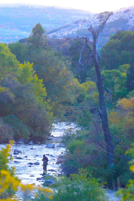 fall_2019 
