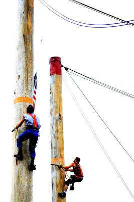 Tree climbing competition