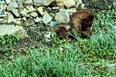 Near the river