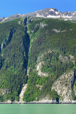 Avalanche trails down mountain
