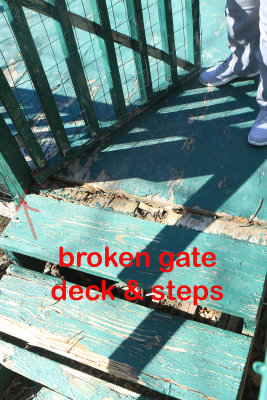 Broken gate, deck & steps.jpg