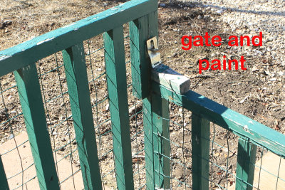 Gate and paint.jpg