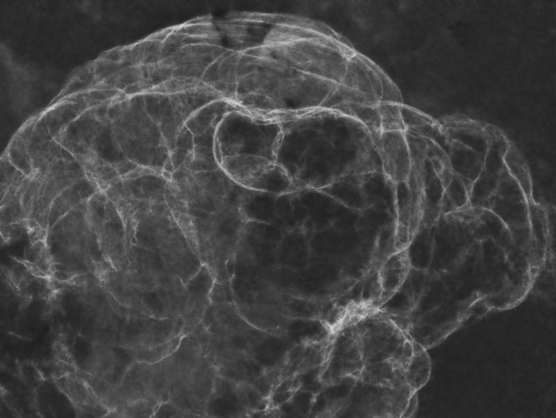 Starless Simeis 147, Sh2-240 in Ha