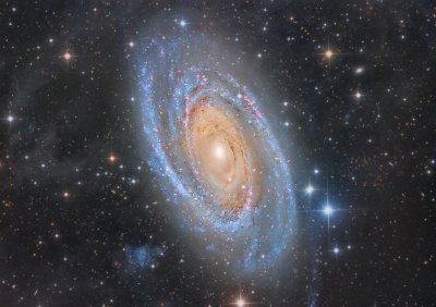 M 81 and IFN