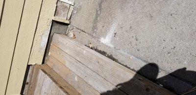 20190421_111834.jpg
