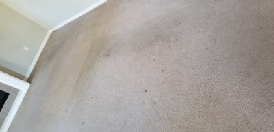 20190421_112126.jpg