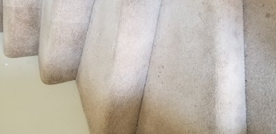 20190421_112205.jpg