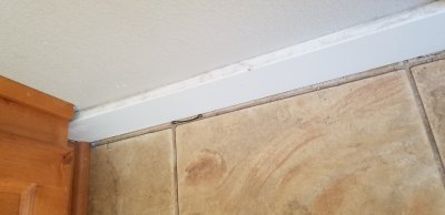 20190421_112259.jpg