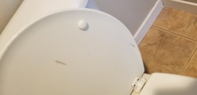 20190421_112331.jpg