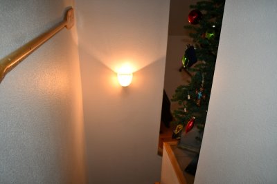 DSC_4490.JPG