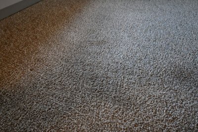 carpet is original