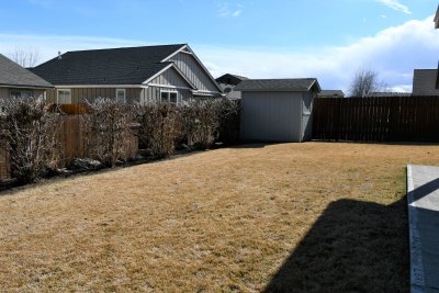 back yard