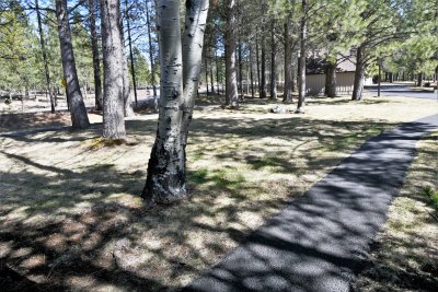 DSC_4976.JPG