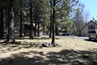 DSC_5005.JPG
