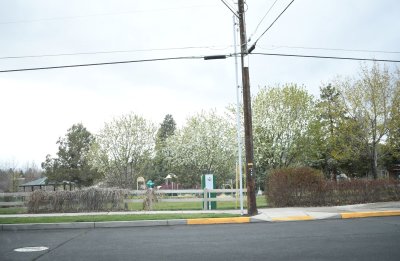 Orchard Park