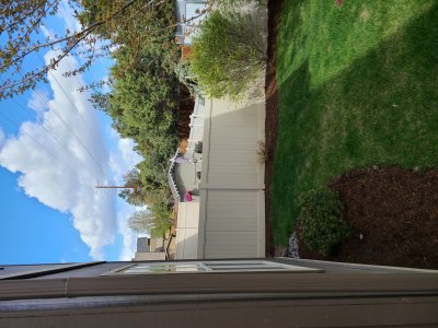 Large back yard with alley behind