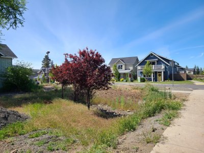 these 2 homes are on Isabella