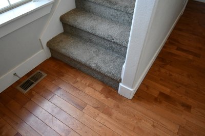 entry way flooring & carpet color