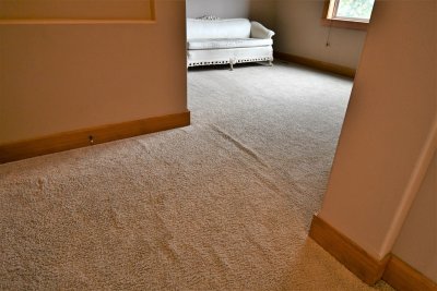 Carpet.JPG