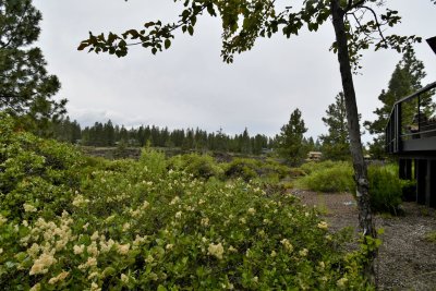 DSC_5229.JPG