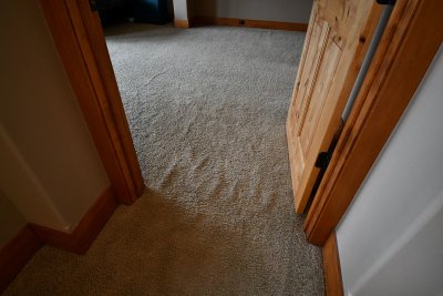 DSC_5241.JPG