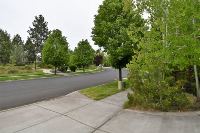 DSC_5271.JPG