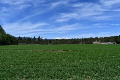 DSC_5277.JPG