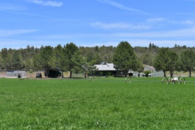 DSC_5279.JPG