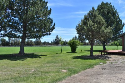 DSC_5298.JPG