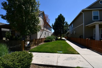 DSC_5487.JPG