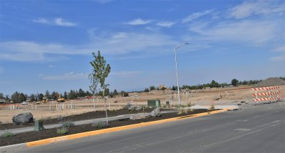 DSC_5555.JPG