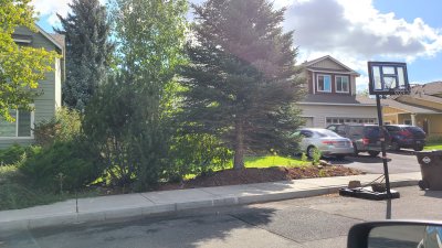 20200924_105147.jpg