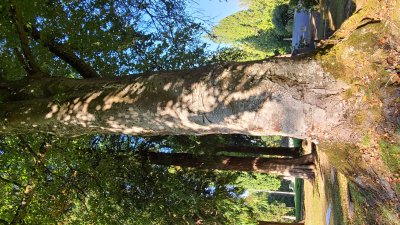 20201002_155913.jpg