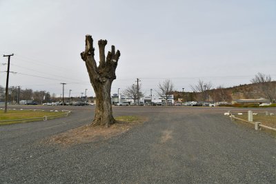 DSC_6028.JPG