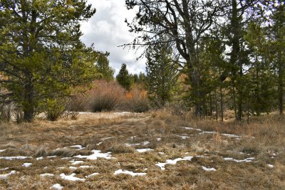 DSC_6204.JPG