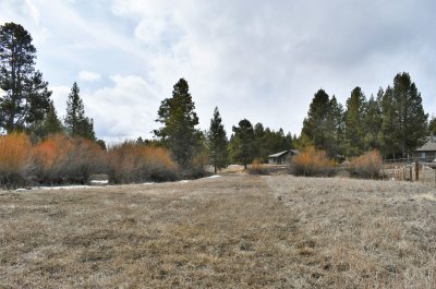DSC_6211.JPG