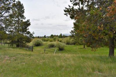 DSC_6357.JPG