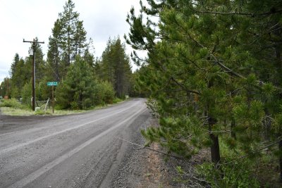 DSC_6338.JPG