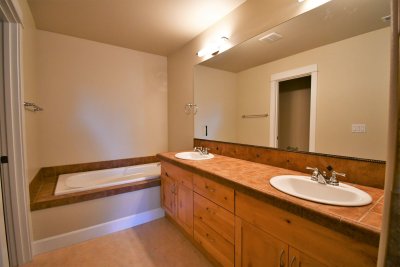 master bath soaking tub