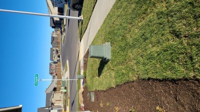 front yard