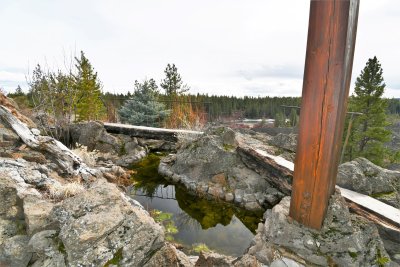 DSC_6877.JPG